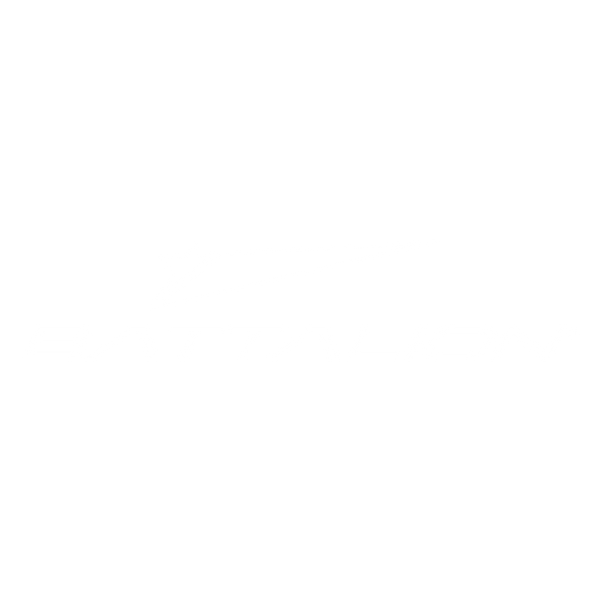 BattalionBikes